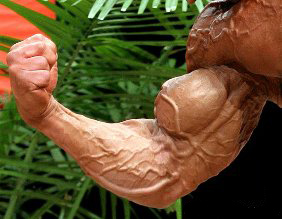 veinz2